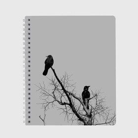 Тетрадь с принтом Вороны на ветке в Архангельске, 100% бумага | 48 листов, плотность листов — 60 г/м2, плотность картонной обложки — 250 г/м2. Листы скреплены сбоку удобной пружинной спиралью. Уголки страниц и обложки скругленные. Цвет линий — светло-серый
 | ветки | вороны | дерево